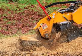 Best Lawn Drainage Solutions  in Su Oswego, NY