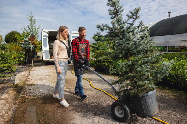 Best Firewood Processing and Delivery  in Su Oswego, NY