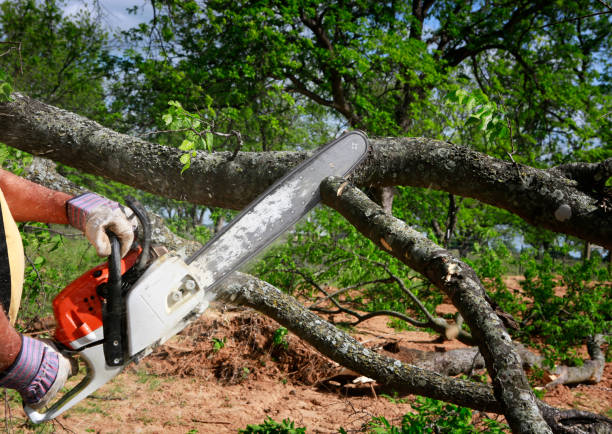 Mulching Services in Suny Oswego, NY